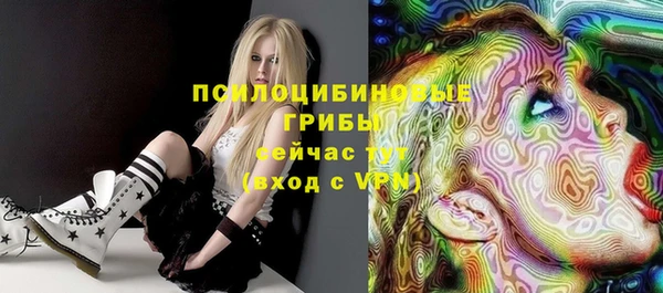 MDMA Лагань