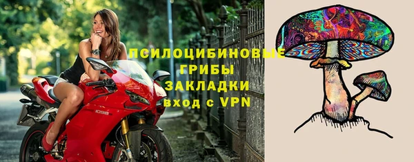 MDMA Лагань