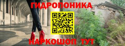 молекула духа Краснодар