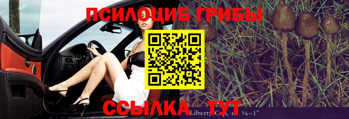 Псилоцибиновые грибы Psilocybine cubensis Нурлат