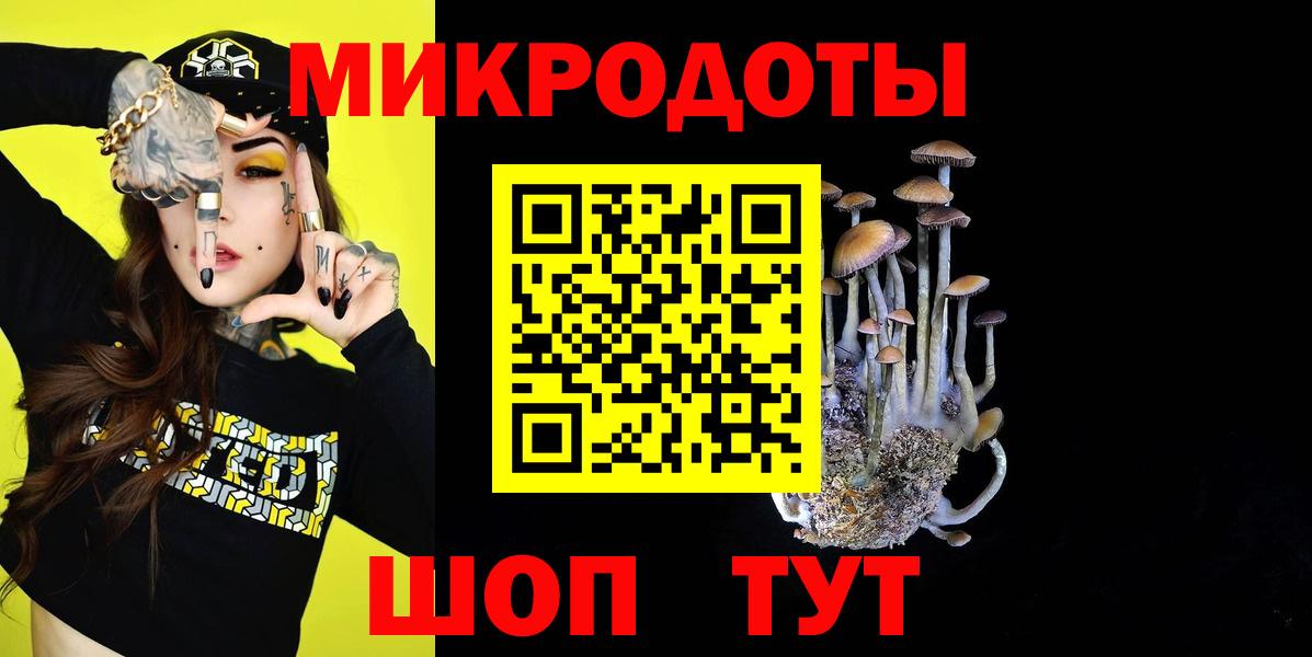 Галлюциногенные грибы Psilocybe  Вход с VPN  Нурлат 